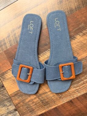 LOFT Blue Canvas Slide Sandals with Buckles - never worn